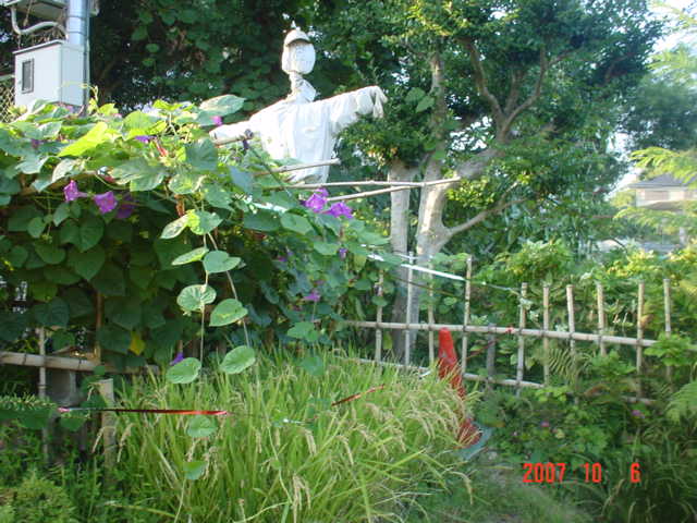 d0119653_11271187.jpg
