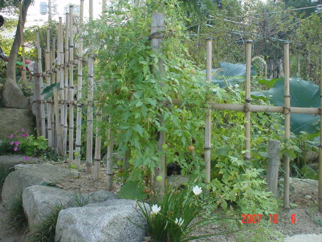 d0119653_113387.jpg