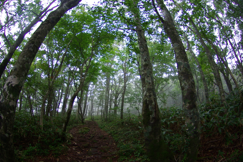 ９月２４日　比婆山（県民の森）山オフ！_a0009554_1184676.jpg