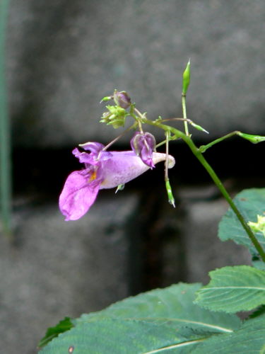 d0091754_23351581.jpg