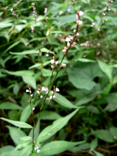 d0091754_23514777.jpg