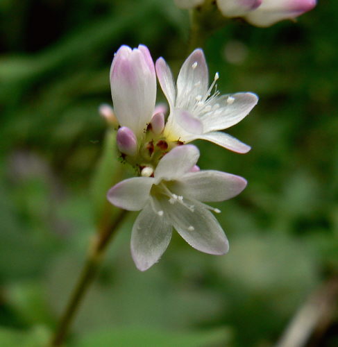 d0091754_2391927.jpg