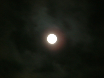 e0098256_0572685.jpg
