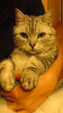 d0029958_18551043.jpg
