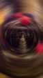 d0029958_18551725.jpg