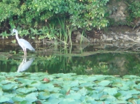c0108460_1932353.jpg