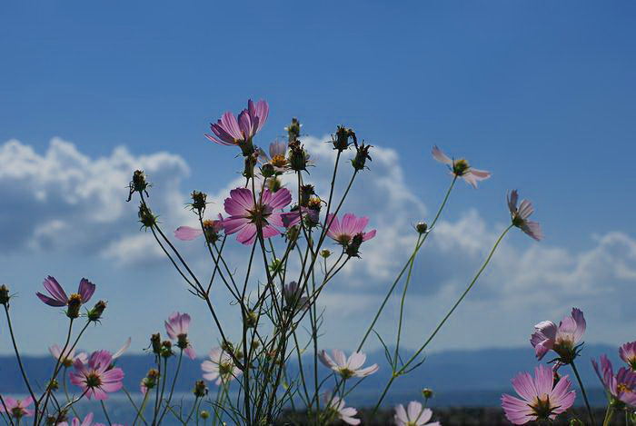 e0053660_2046091.jpg