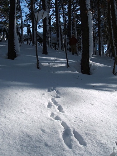 c0009461_10343364.jpg