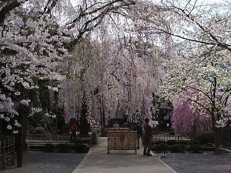 c0009461_834207.jpg