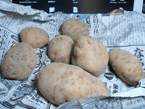 c0009461_9243281.jpg