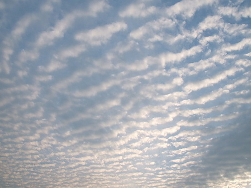c0009461_9563346.jpg