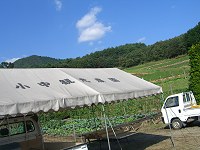 b0004675_2122190.jpg
