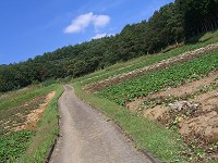 b0004675_2122257.jpg
