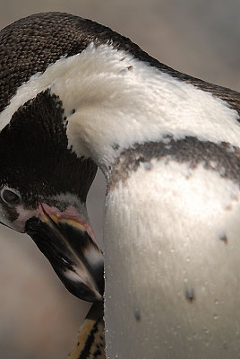 c0135079_7482435.jpg