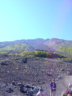 富士山に犬連れで行ってみた。_b0076384_21425712.jpg