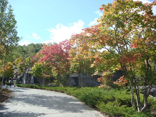 f0146493_10325668.jpg