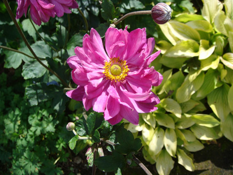 f0146493_10401388.jpg