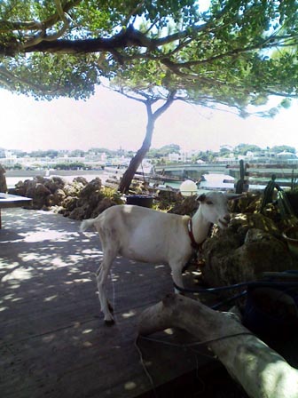 e0034994_0213978.jpg