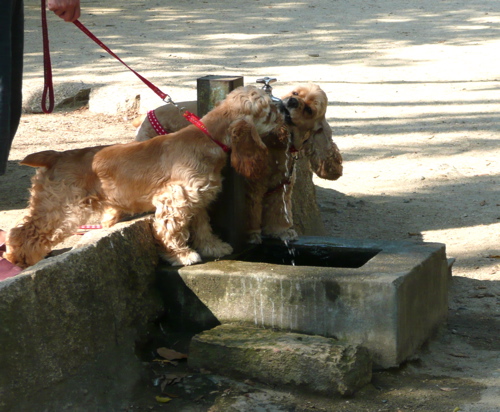 f0146198_10184522.jpg