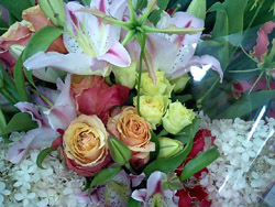 b0059000_11374479.jpg