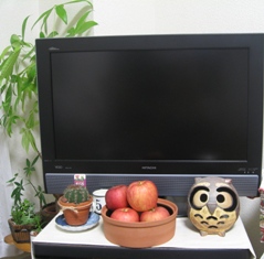 c0017505_932795.jpg