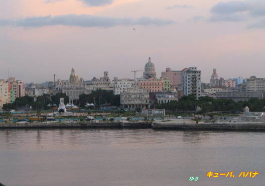 b0051109_74870.jpg