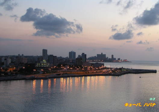 b0051109_752479.jpg