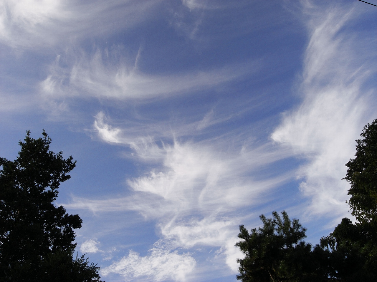 巻き雲 20090621_013.jpg