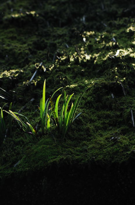 f0032011_19361286.jpg