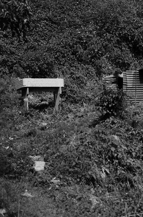 f0032011_19362179.jpg