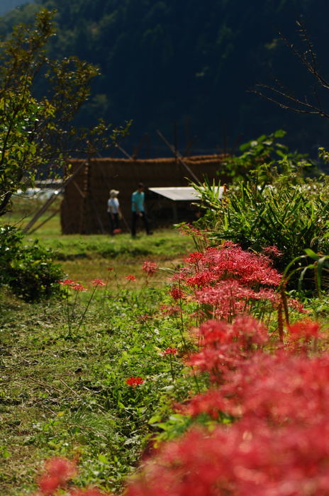 f0032011_1936335.jpg