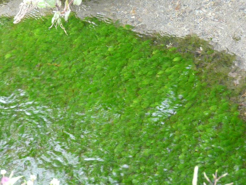 c0086014_2155542.jpg