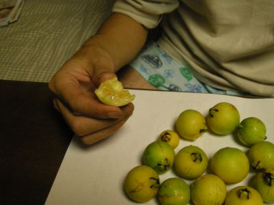 e0036217_2323999.jpg