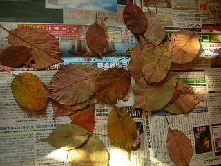 注文品_c0102228_20105542.jpg