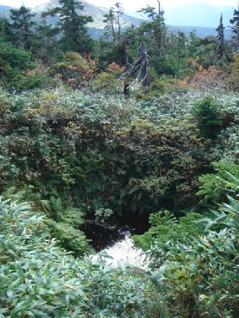 岩手県　八幡平_b0079436_2133997.jpg