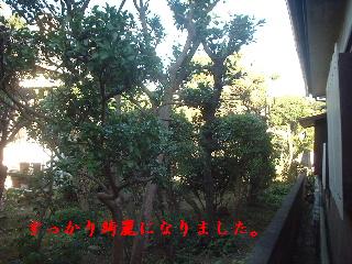 f0031037_181144.jpg