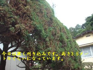 f0031037_1812278.jpg
