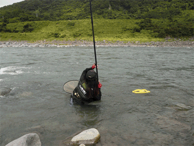 a0056140_15471962.gif