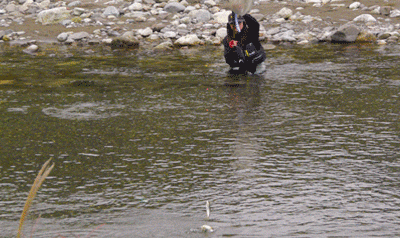 a0056140_16453265.gif