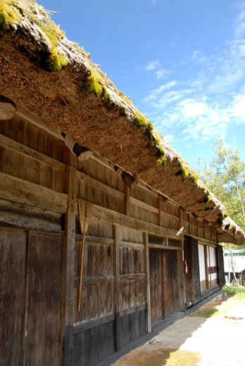 c0093046_70092.jpg