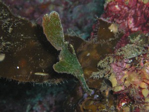d0058549_17315769.jpg