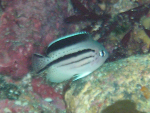 d0058549_17344149.jpg