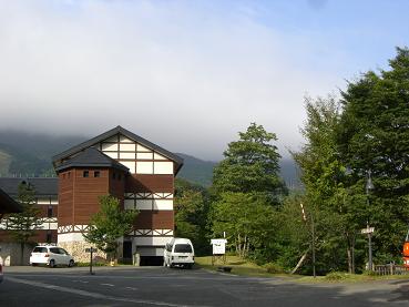 きのこ採集に行ってきました_e0074251_9163755.jpg