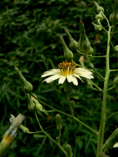 d0091754_0124894.jpg