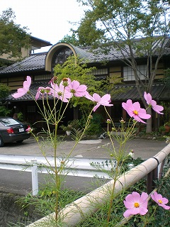 d0006756_14103554.jpg