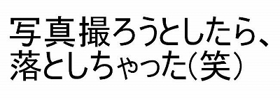 野池巡り３日目_f0073059_13183931.jpg