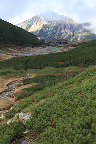 d0113164_17585660.jpg