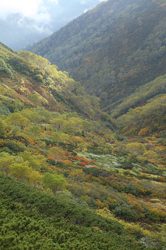 d0113164_17595022.jpg