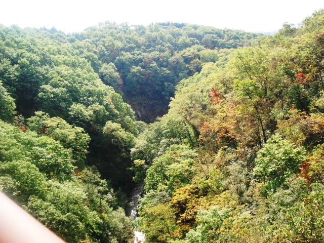 f0132565_10135637.jpg