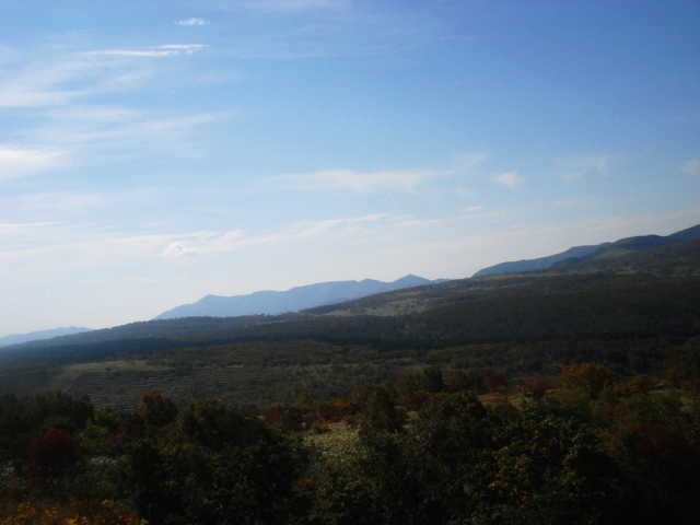 f0132565_10193562.jpg